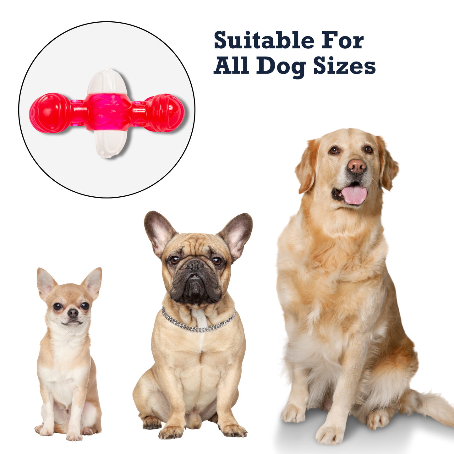 Chew Toys Country Living TPR & Nylon Quacker Bone Chew Toy for Dogs – with Engaging Quacking Sound NYL761 15 $ Shop All American Pet Supplies Stew's Incense