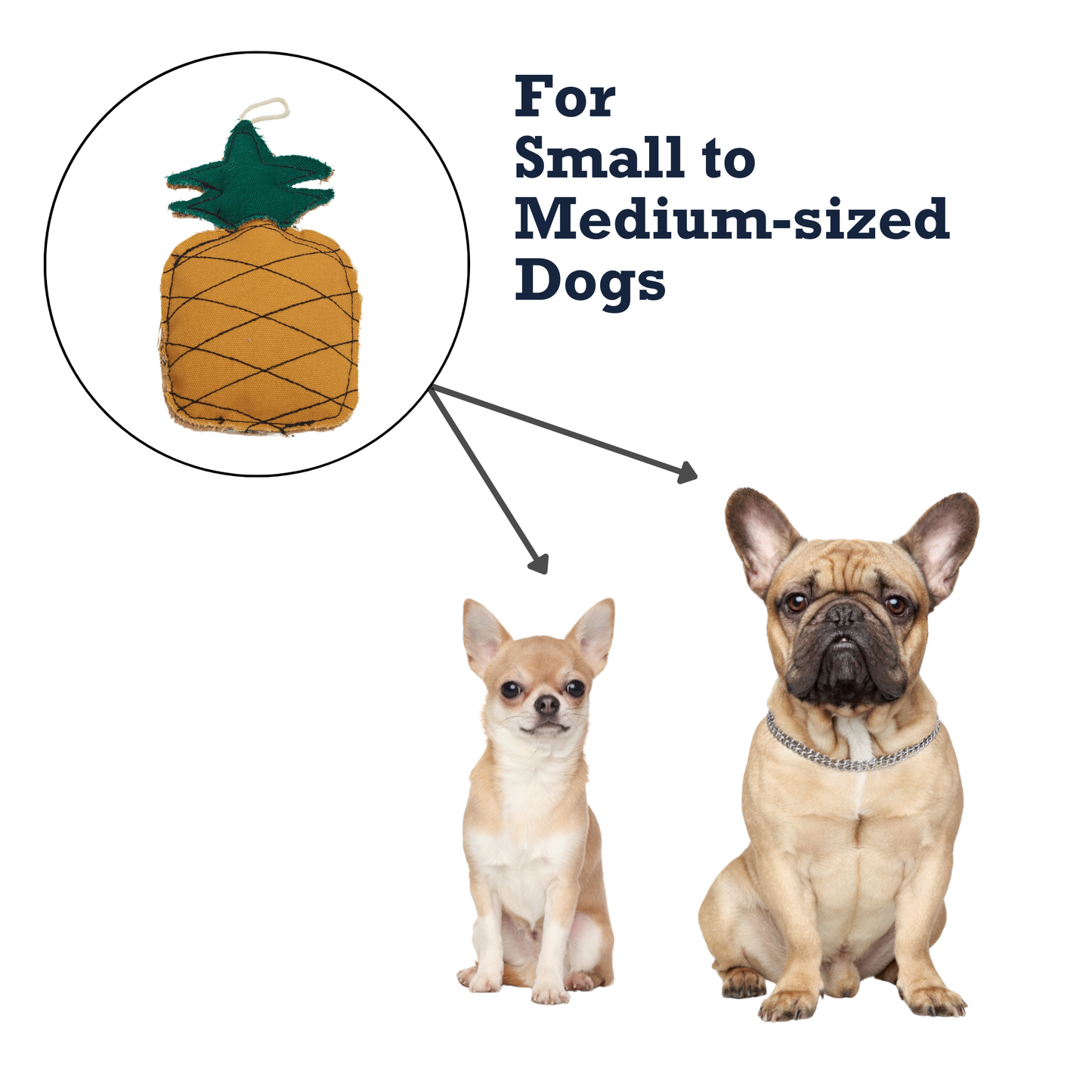 Jute Toys Country Living Canvas & Jute Pineapple-Shaped Dog Chew Toy – Durable, Safe and Non-Toxic ECO7551 14 $ Shop All American Pet Supplies Stew's Incense