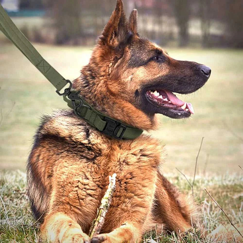 Large collar Dog Collar Durable Tactical Leash Set Adjustable Pet Collar Leash Medium Large Dog German Shepherd Training Accessories 1005006996742757-CP-M 41 $ Pet Lovers Shop All Products Fashioned Furbabies Stew's Incense