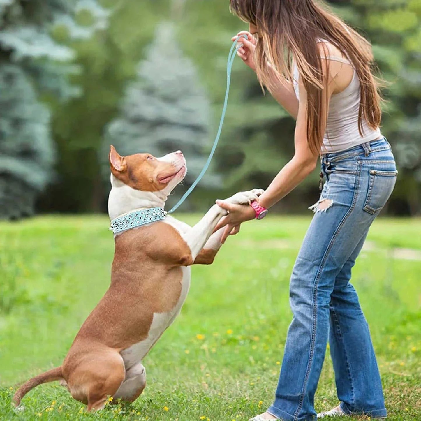 Spiked Harness Dog Collar Leather Stylish and Durable Leash Medium Harness Dogs Backpack Collars Harnesses Wears Necklaces 14:193#Black;5:4182#XL 40 $ Pet Lovers Shop All Products Fashioned Furbabies Stew's Incense