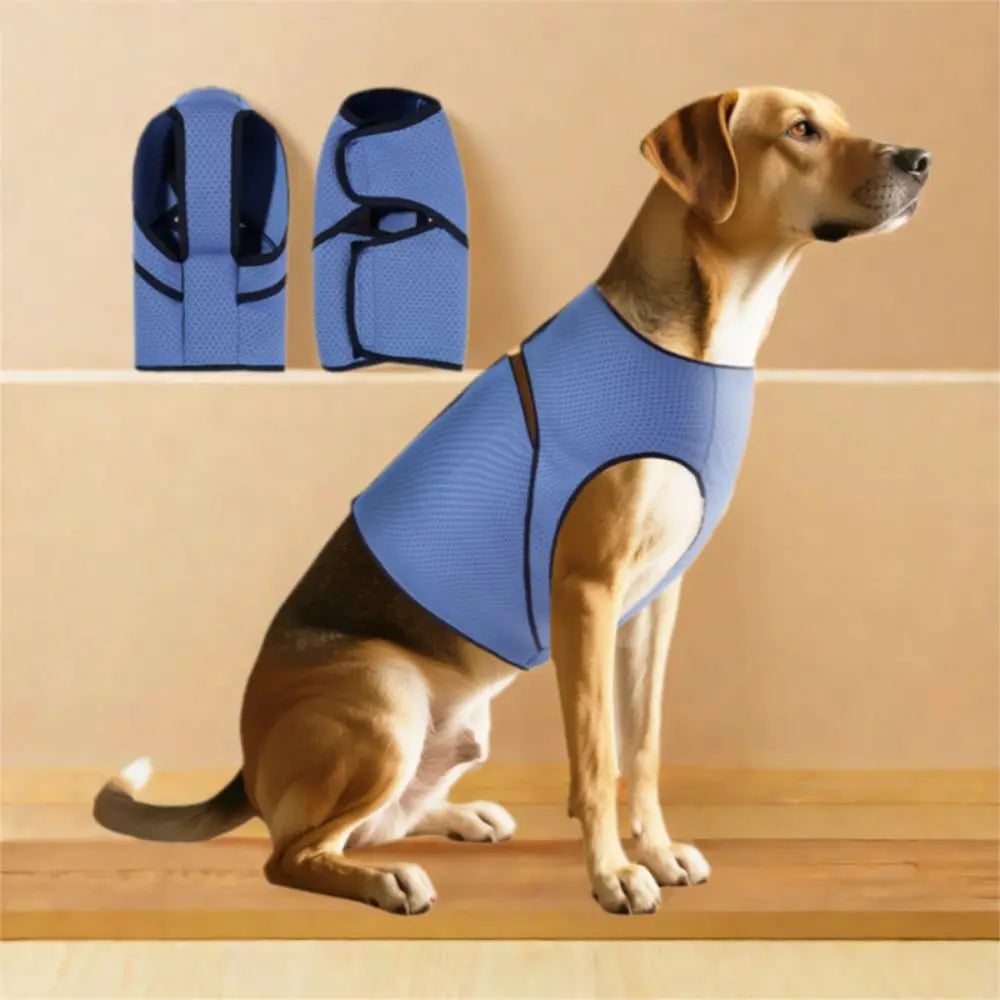 Calming Comfort Secure Breathable Dog Anxiety Vest
