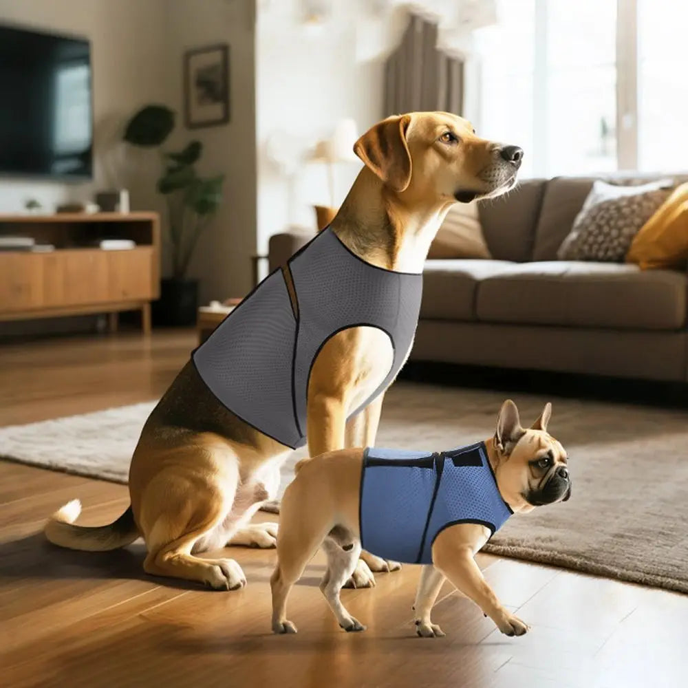 Calming Comfort Secure Breathable Dog Anxiety Vest
