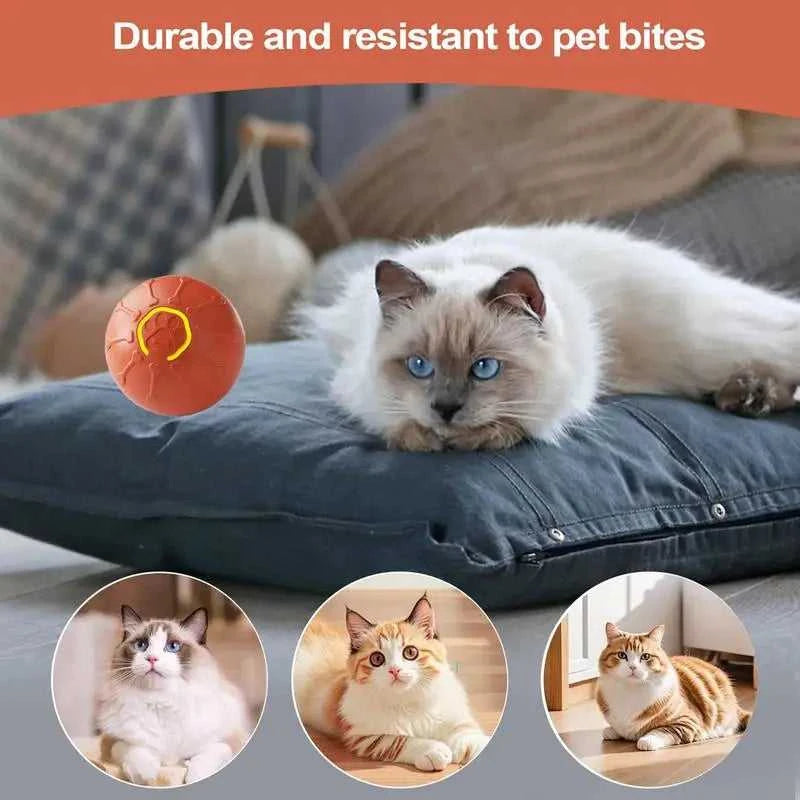 Cat Toy Automatic Cat Toy Automatic Electric Smart LED Light Cat Toy Pet Supplies For Exercise Mental Stimulation Scratching Post 12000047377759807 43 $ Fashioned Furbabies Stew's Incense