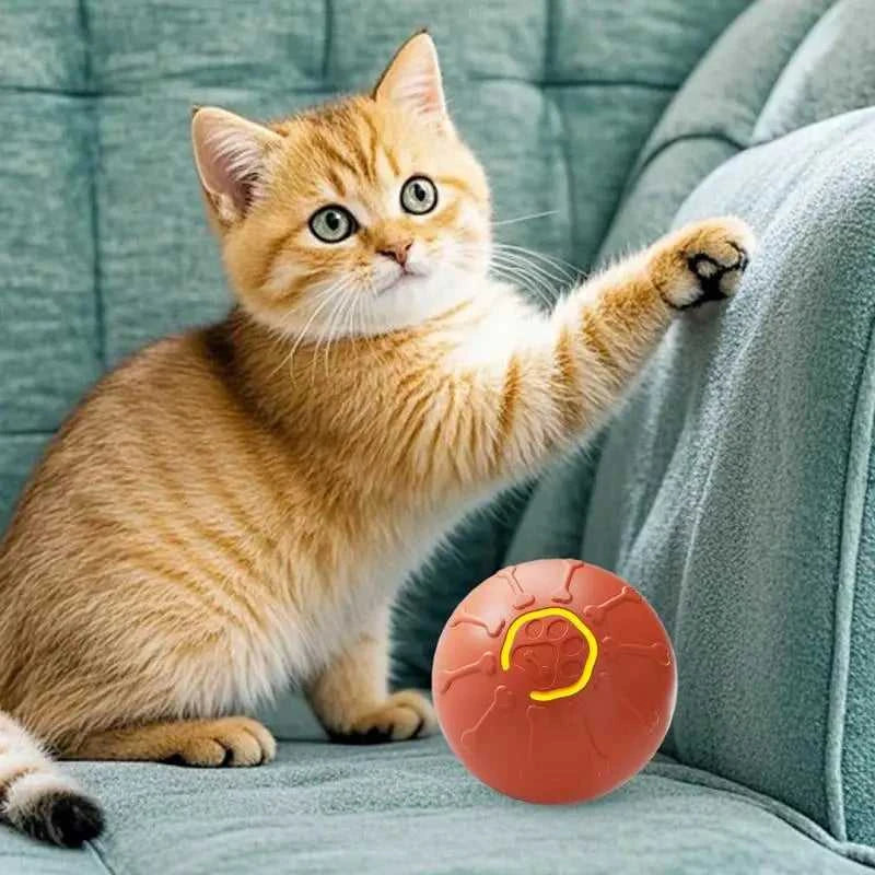 Cat Toy Automatic Cat Toy Automatic Electric Smart LED Light Cat Toy Pet Supplies For Exercise Mental Stimulation Scratching Post 12000047377759807 43 $ Fashioned Furbabies Stew's Incense