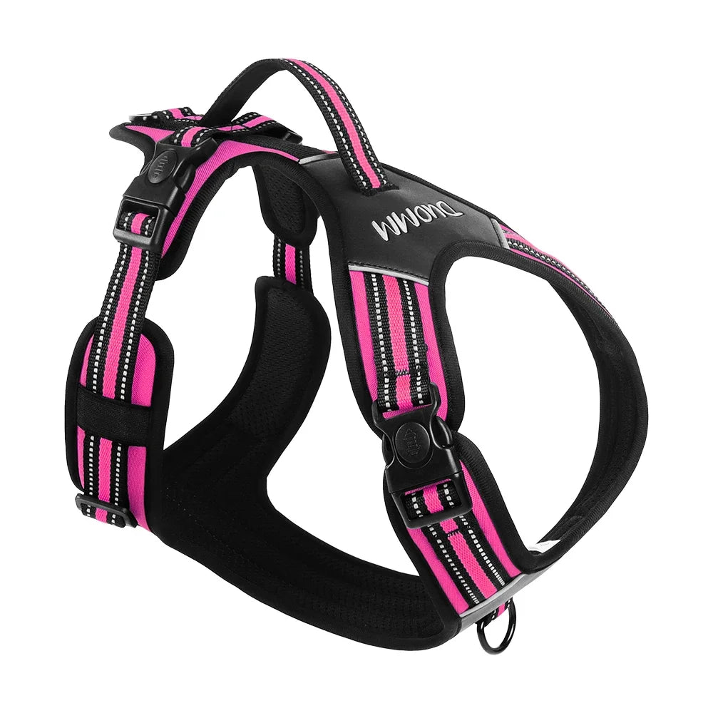 Big Dog Harness Durable Safe and Ready