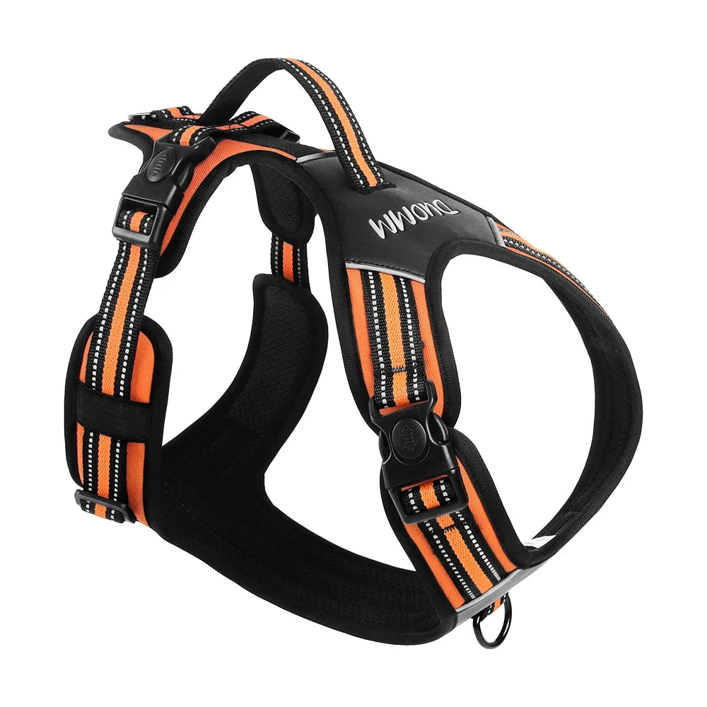 Big Dog Harness Durable Safe and Ready