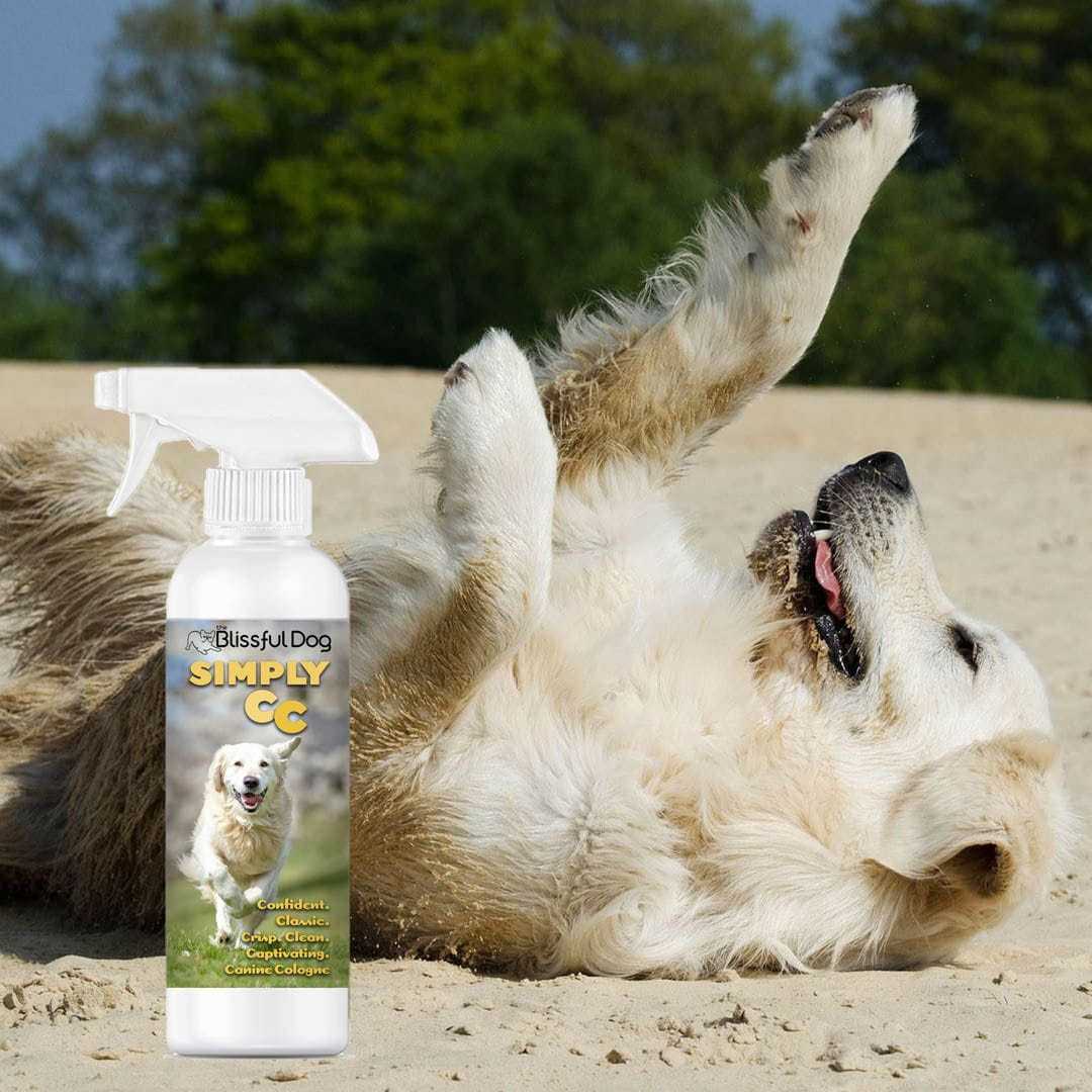 Cologne Simply CC Dog Cologne for the Classically Confident Canine sku-12192559824997 11 $ Pet Lovers Store The Blissful Dog Stew's Incense