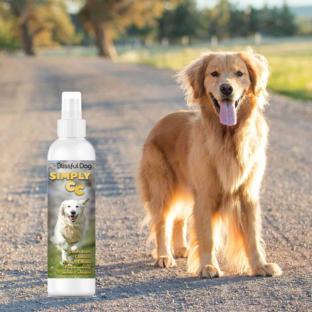 Cologne Simply CC Dog Cologne for the Classically Confident Canine sku-12192559824997 11 $ Pet Lovers Store The Blissful Dog Stew's Incense