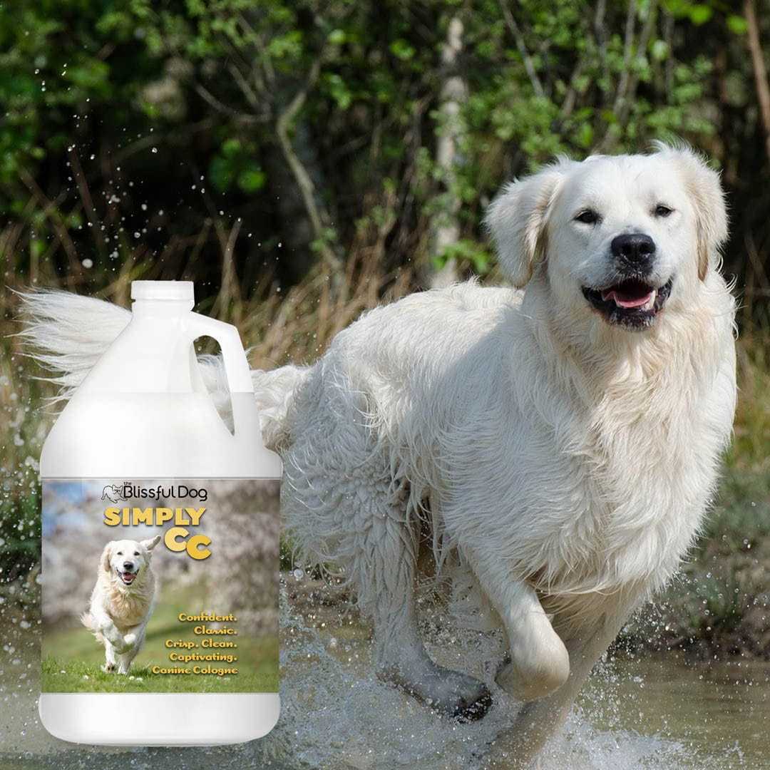 Cologne Simply CC Dog Cologne for the Classically Confident Canine sku-12192559824997 11 $ Pet Lovers Store The Blissful Dog Stew's Incense