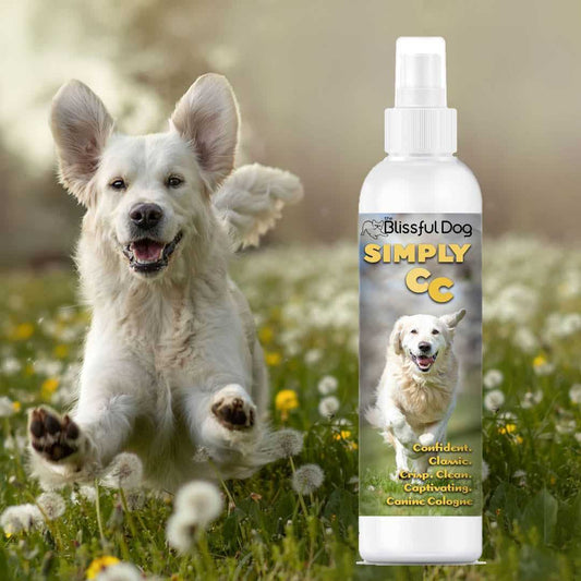 Cologne Simply CC Dog Cologne for the Classically Confident Canine sku-12192559824997 11 $ Pet Lovers Store The Blissful Dog Stew's Incense