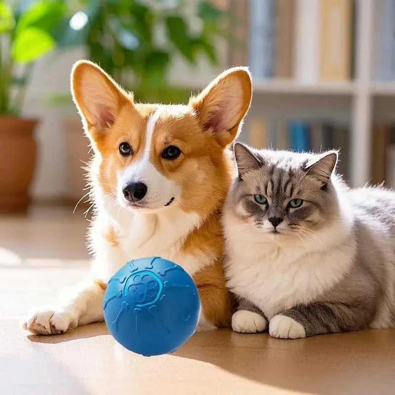 Cat Toy Automatic Cat Toy Automatic Electric Smart LED Light Cat Toy Pet Supplies For Exercise Mental Stimulation Scratching Post 12000047377759807 43 $ Fashioned Furbabies Stew's Incense