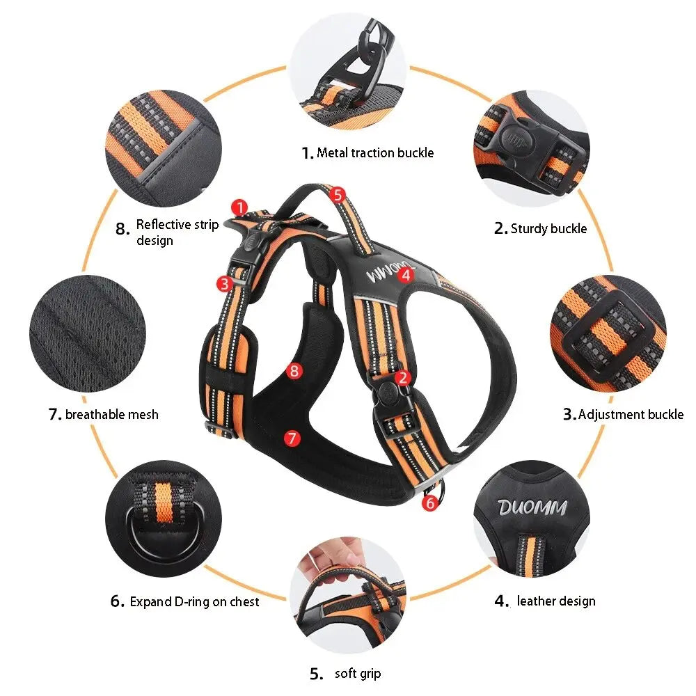 Big Dog Harness Durable Safe and Ready