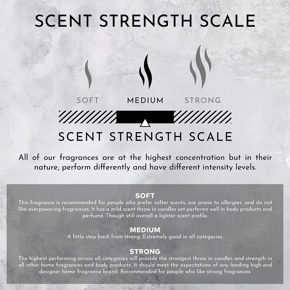 Environment - Room Spray (Hotel Aromatics) Damask Rose | Vetiver | Guaiac Wood Room Spray (Inspired by Le Labo Rose 31® and Fairmont Hotel®) EN-RS-FAIRMONT 38 $ Lava Rock Diffusers Stone Candles Stew's Incense