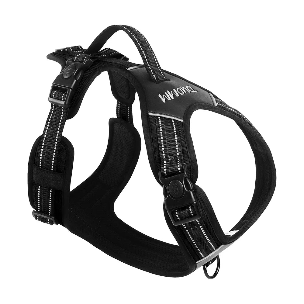 Big Dog Harness Durable Safe and Ready