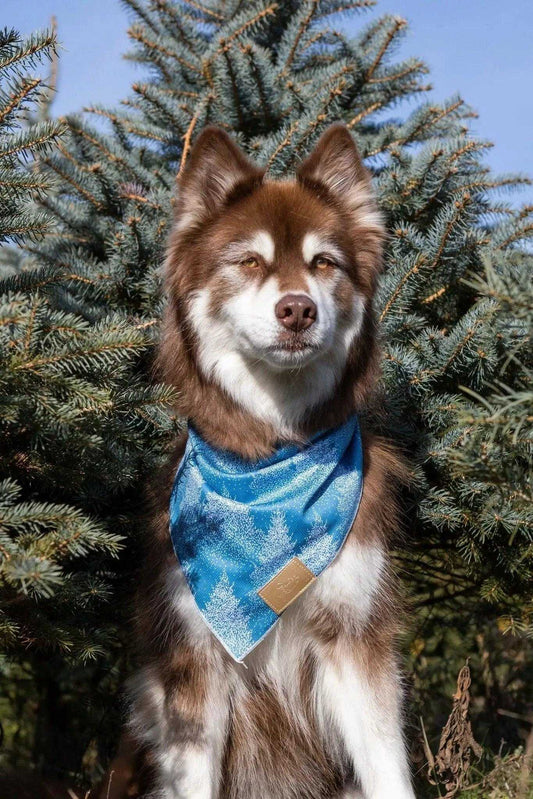 bandana Siberian Spruce Dog Bandana BD24SS01 14 $ Shop All Aria the Fox Stew's Incense