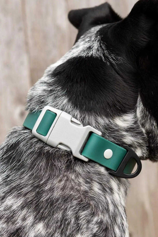 Collar Siberian Spruce Waterproof Dog Collar CO24SS01 29 $ Shop All Aria the Fox Stew's Incense