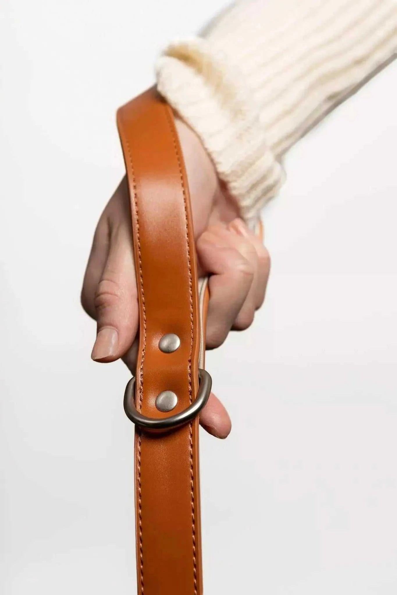 Leash Sierra Sunrise Vegan Leather Dog Leash VL24SI01 39 $ Shop All Aria the Fox Stew's Incense
