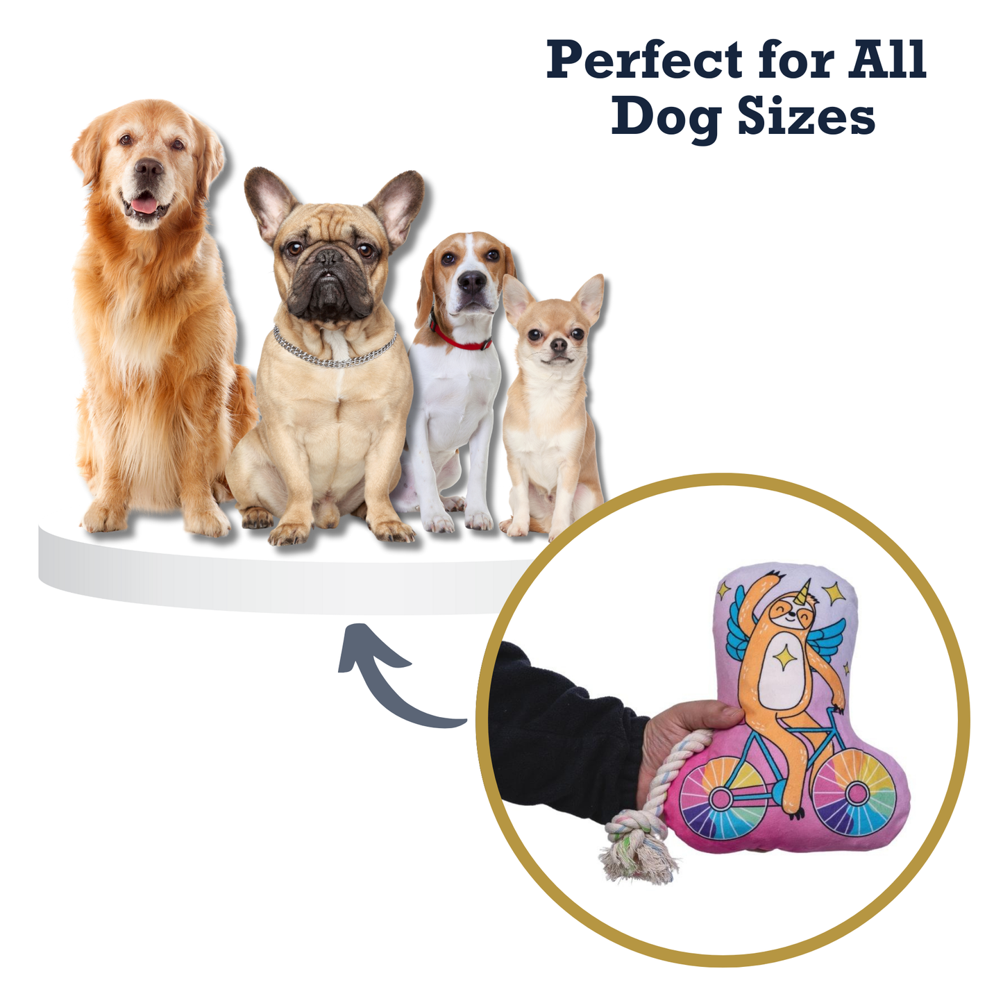 Chew Toys Slow Biker Plush Dog Toy – with Squeaker & Crinkle Paper for Fun Play HOM321 14 $ Shop All American Pet Supplies Stew's Incense