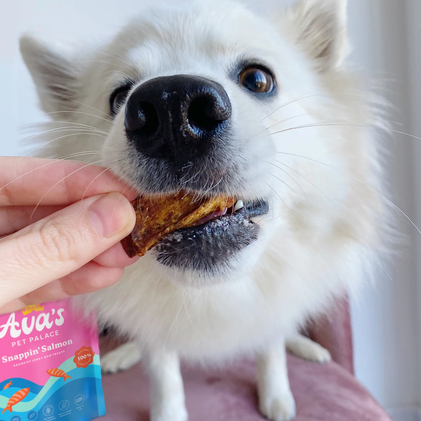 Dog Treats Ava's Pet Palace Crunchy Jerky Dog Treats - Snappin' Salmon Treats (4 oz) PCK9800 14 $ Pet Lovers Store American Pet Supplies Stew's Incense