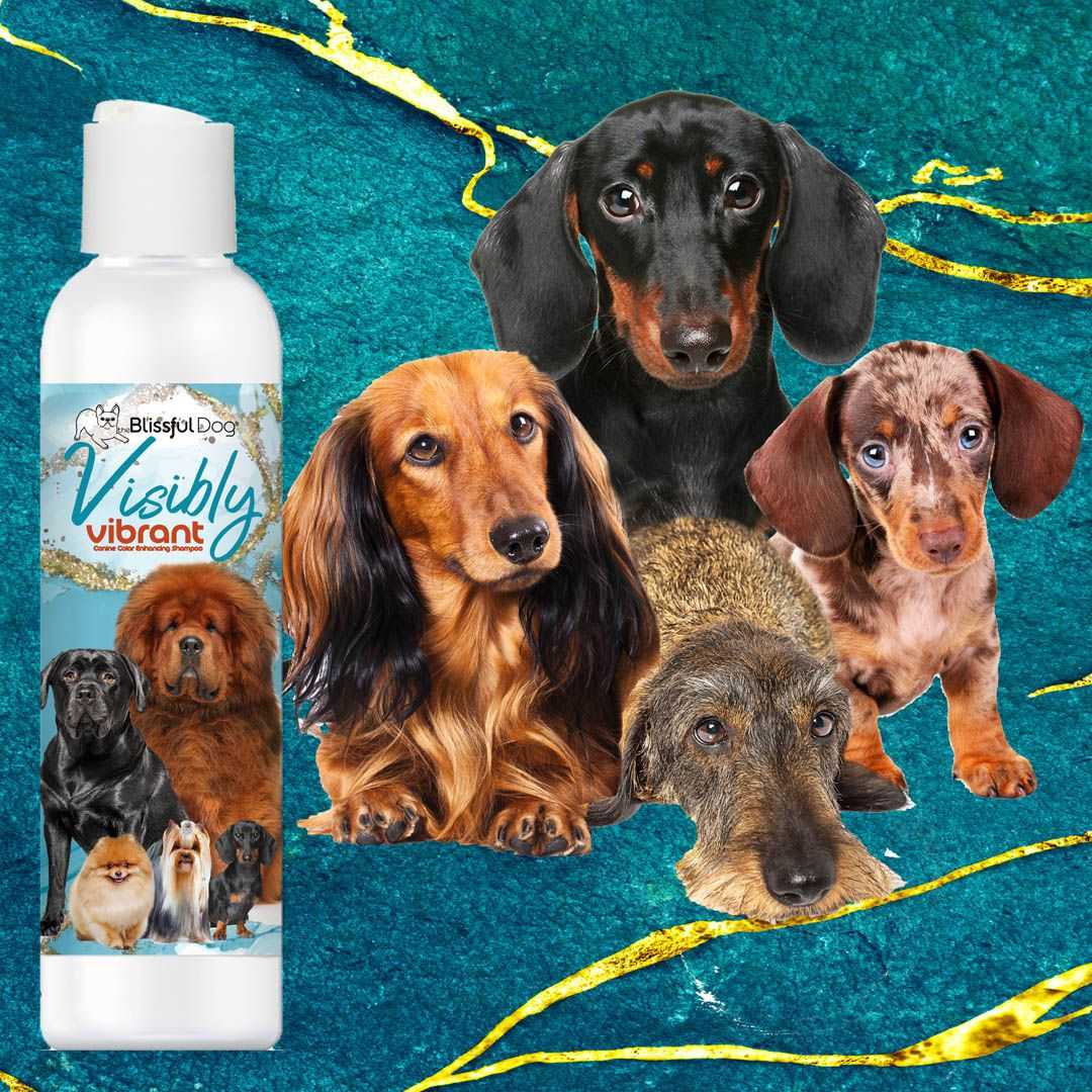 SHAMPOO Visibly Vibrant Pet Shampoo sku-43673368232179 11 $ Pet Lovers Store The Blissful Dog Stew's Incense