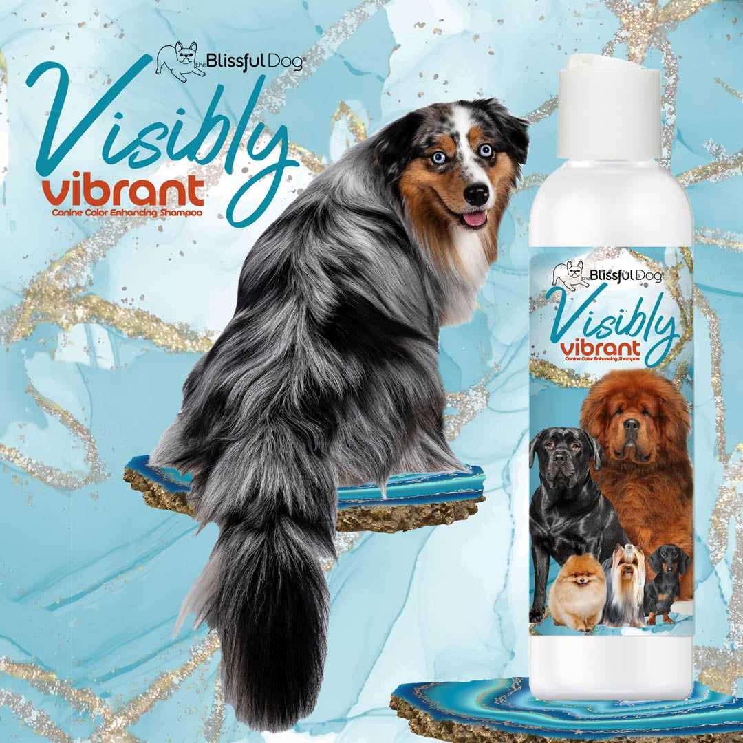 SHAMPOO Visibly Vibrant Pet Shampoo sku-43673368232179 11 $ Pet Lovers Store The Blissful Dog Stew's Incense