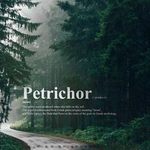 Petrichor - /ˈpetrīˌkôr/ - The Smell of Rain - ROOM & LINEN SPRAY sku-41595283636314 24 $ Shop All Moon Water Apothecary Stew's Incense
