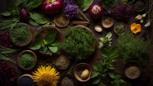 The Healing Power of Herbs: A Comprehensive Guide to Herbal Medicine