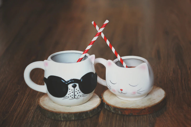 Quirky Ceramic Mugs for Every Mood and Occasion