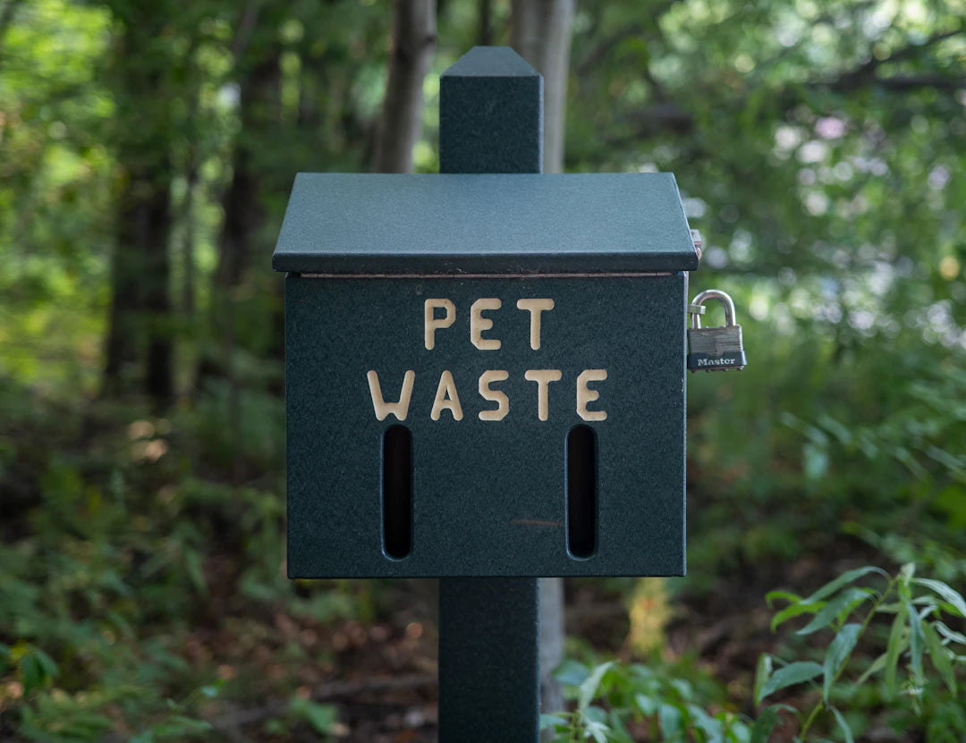 Eco-Friendly Pet Waste Solutions for Conscious Owners