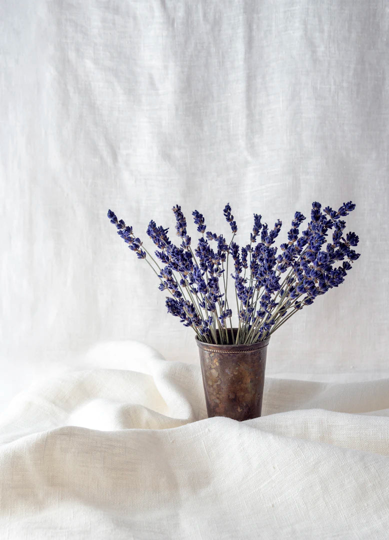 Exploring the Mystical Properties of Lavender Incense