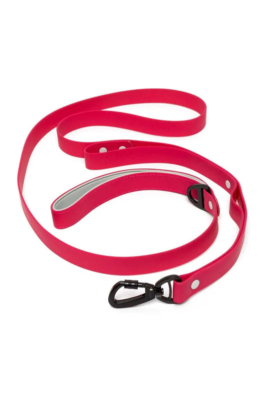 Leash Red Mountain Syrah Waterproof Dog Leash LE24RS01 39 $ Aria the Fox Stew's Incense