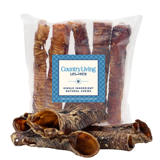 Dog Treats Country Living All-Natural Beef Trachea Dog Treats, Protein-Packed Chews – 12 Inches (5-Pack) PCK139-5P 17 $ Pet Lovers Store American Pet Supplies Stew's Incense