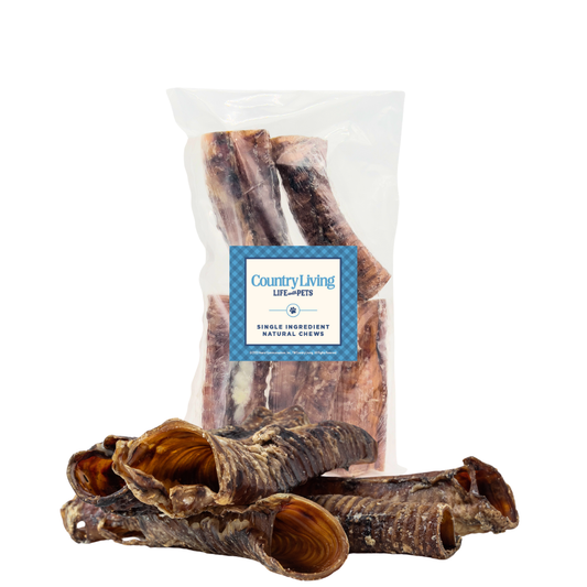Dog Treats Country Living All-Natural Beef Trachea Dog Treats, Protein-Packed Chews – 6 Inches (5-Pack) PCK138-5P 15 $ Pet Lovers Store American Pet Supplies Stew's Incense