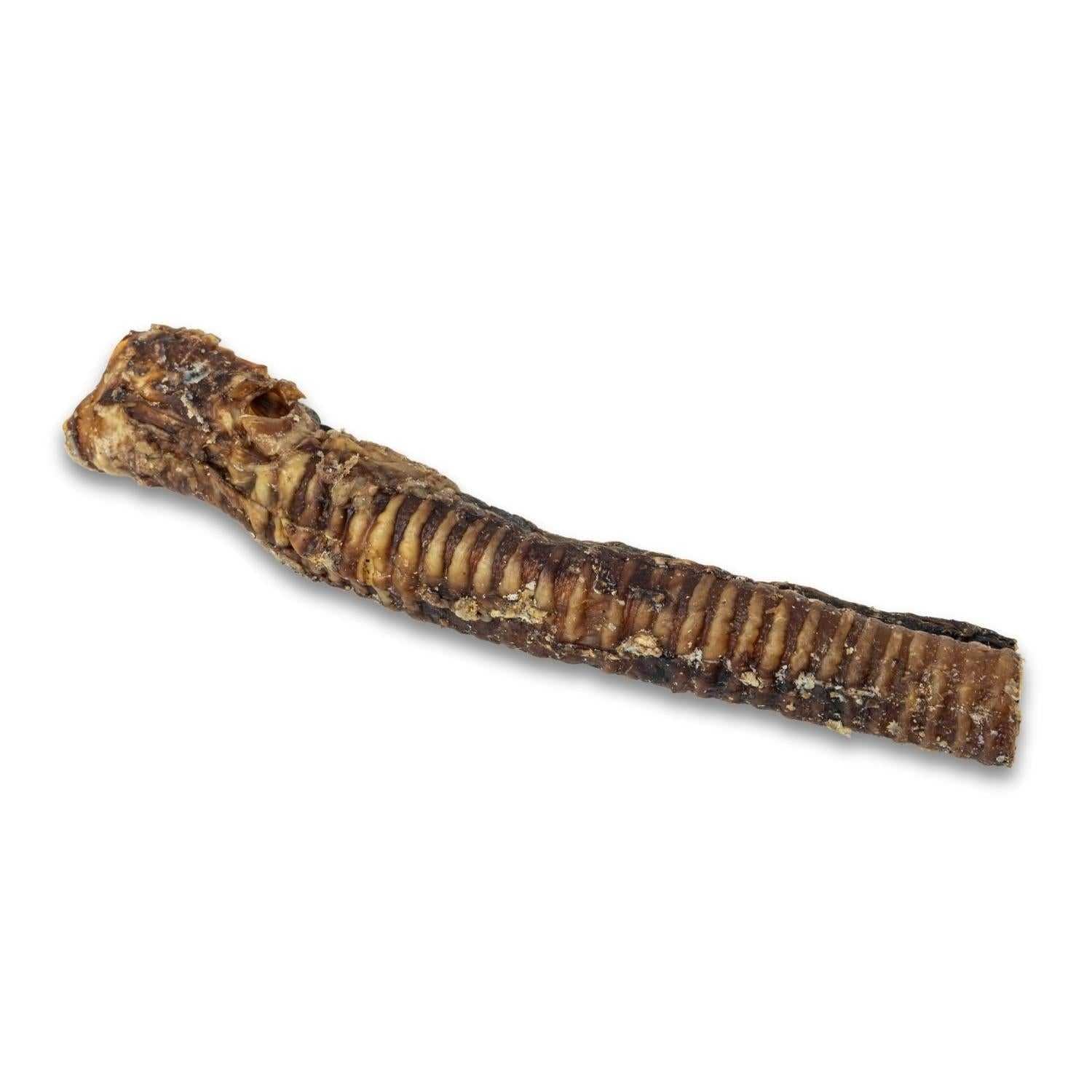 Dog Treats Country Living All-Natural Beef Trachea Dog Treats, Protein-Packed Chews – 12 Inches (5-Pack) PCK139-5P 17 $ Pet Lovers Store American Pet Supplies Stew's Incense