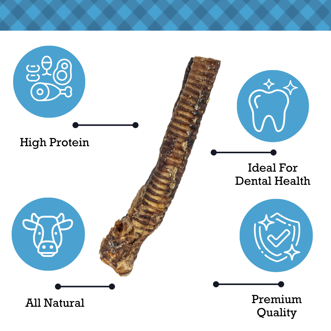 Dog Treats Country Living All-Natural Beef Trachea Dog Treats, Protein-Packed Chews – 12 Inches (5-Pack) PCK139-5P 17 $ Pet Lovers Store American Pet Supplies Stew's Incense