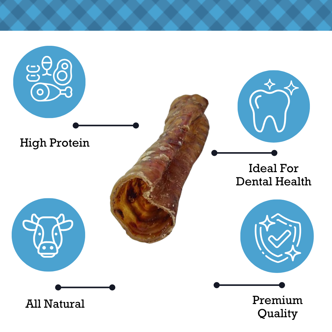 Dog Treats Country Living All-Natural Beef Trachea Dog Treats, Protein-Packed Chews – 6 Inches (5-Pack) PCK138-5P 15 $ Pet Lovers Store American Pet Supplies Stew's Incense