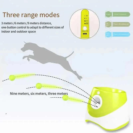 pet supplies 2025 AutoLaunch Sustainable Fun Train Your Dog 12000045546845419 204 $ Shop All Fashioned Furbabies Stew's Incense