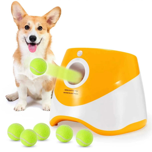 pet supplies 2025 AutoLaunch Sustainable Fun Train Your Dog 12000045546845419 204 $ Shop All Fashioned Furbabies Stew's Incense