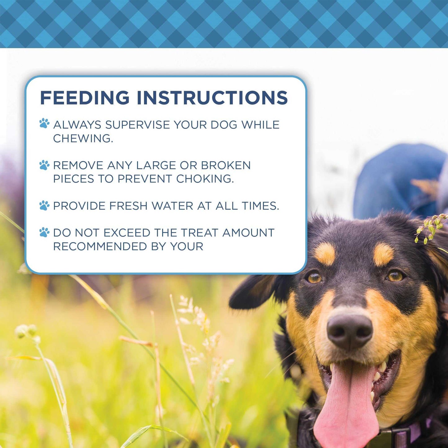 Dog Treats Country Living 4”-7” Beef Backstrap Tendon Dog Chews – 5 Count Bag – All-Natural, Long-Lasting, High-Protein Dog Treats – Single-Ingredient, Grain-Free CL-PCK248-5PK 16 $ Pet Lovers Store American Pet Supplies Stew's Incense