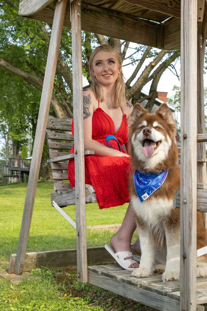bandana Patriotic Dog Bandana BD24PD01 14 $ Shop All Aria the Fox Stew's Incense