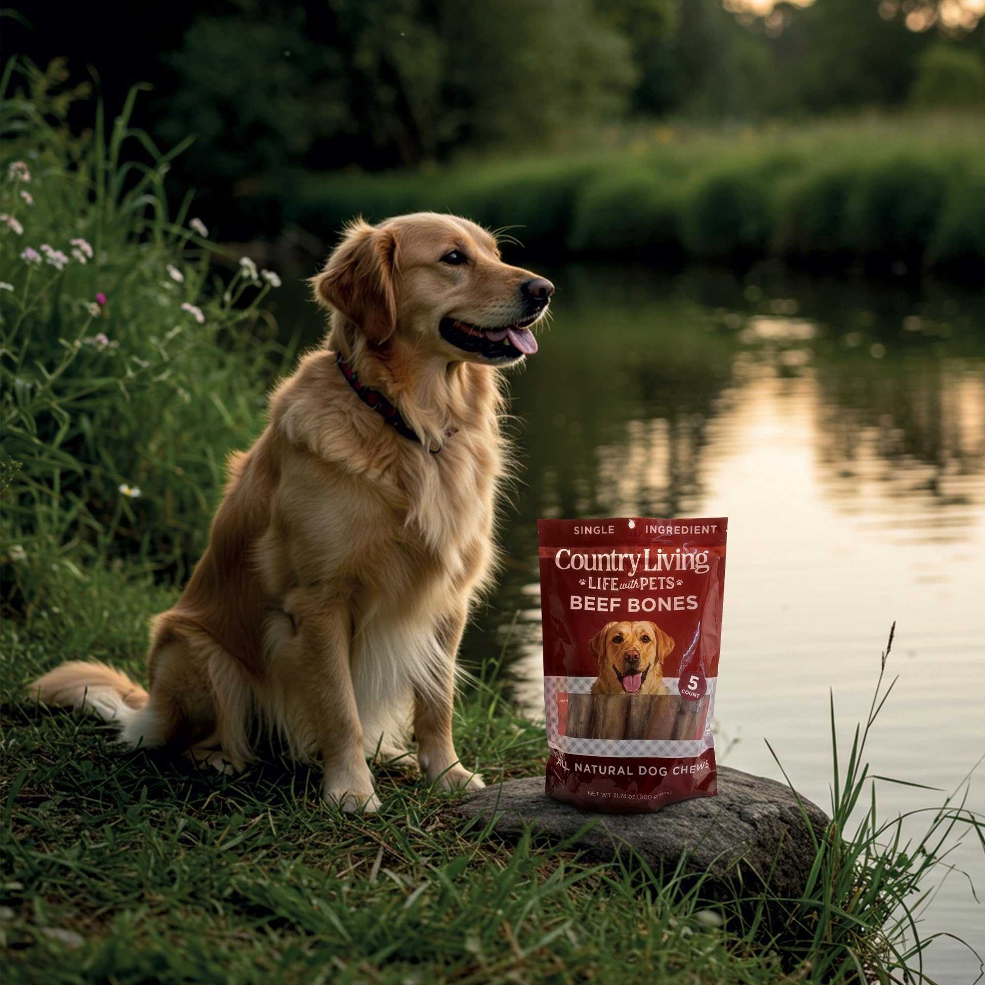 Dog Treats Country Living 5”-6” Beef Center Cut Bones for Dogs – 5 Count Bag – All-Natural, Long-Lasting Dog Chews – Single-Ingredient, High-Protein, Rawhide-Free – Supports Dental Health CL-PCK147-5PK 24 $ Pet Lovers Store American Pet Supplies Stew's Incense