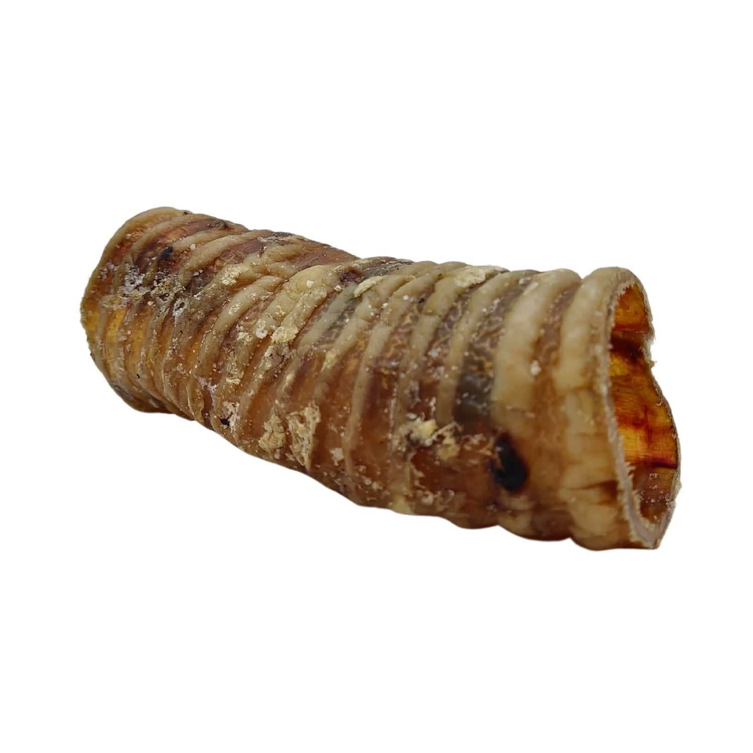 Dog Treats Country Living All-Natural Beef Trachea Dog Treats, Protein-Packed Chews – 6 Inches (5-Pack) PCK138-5P 15 $ Pet Lovers Store American Pet Supplies Stew's Incense