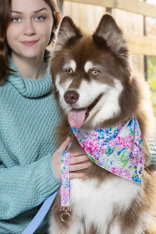bandana Hydrangea Haven Dog Bandana & Matching Keychain BK24HH01 26 $ Shop All Aria the Fox Stew's Incense