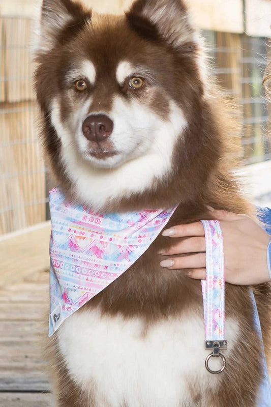 bandana Pink and Blue Tribal Dog Bandana & Matching Keychain BK24TR01 26 $ Shop All Aria the Fox Stew's Incense