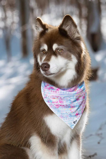 bandana Pink and Blue Tribal Dog Bandana & Matching Keychain BK24TR01 26 $ Shop All Aria the Fox Stew's Incense