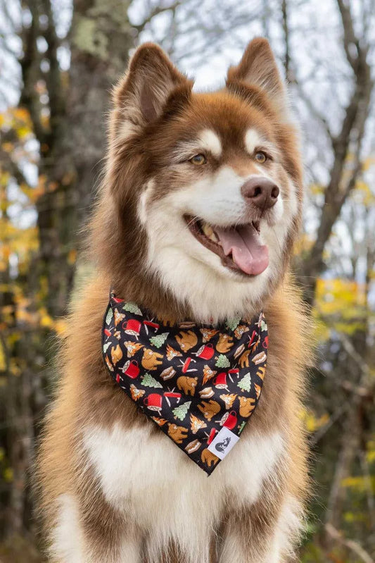 bandana Woodland Tales Dog Bandana BD24WT01 14 $ Shop All Aria the Fox Stew's Incense