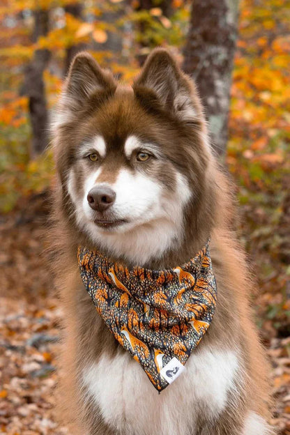 bandana Foxes in Fall Dog Bandana & Matching Keychain BK24FF01 26 $ Shop All Aria the Fox Stew's Incense