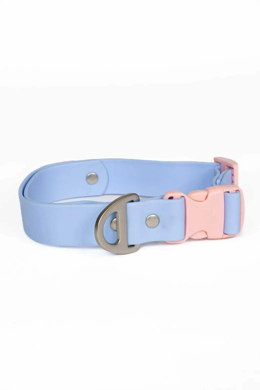 Collar Blue Sky Orchid Waterproof Dog Collar CO24BS01 29 $ Shop All Aria the Fox Stew's Incense