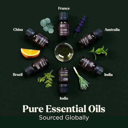  Lagunamoon Essential Oils Set - Top 6 Blends for Diffusers, Home Care, Candle Making Scents, Fragrance, Aromatherapy, Humidifiers, Gifts - Peppermint, Tea Tree, Lavender, Eucalyptus, Orange (10mL) Lagunamoon-Essential-7203393732654 8 $ Amazon Stew's Incense
