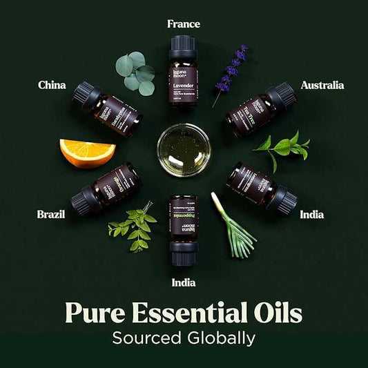  Lagunamoon Essential Oils Set - Top 6 Blends for Diffusers, Home Care, Candle Making Scents, Fragrance, Aromatherapy, Humidifiers, Gifts - Peppermint, Tea Tree, Lavender, Eucalyptus, Orange (10mL) Lagunamoon-Essential-7203393732654 8 $ Amazon Stew's Incense